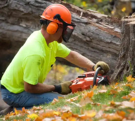 tree services Kindred